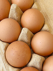 Image showing Eggs in a box