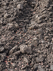 Image showing Plowed field at spring