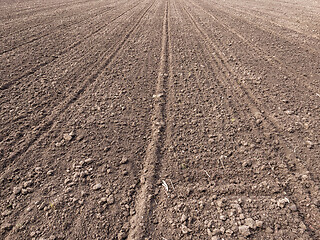 Image showing Plowed field at spring