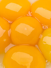 Image showing Raw egg yolks