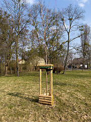 Image showing Planting trees in park