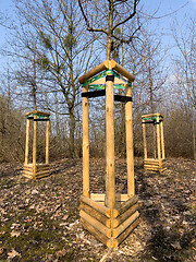 Image showing Planting trees in park