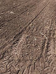 Image showing Plowed field at spring