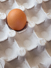 Image showing Eggs in a box