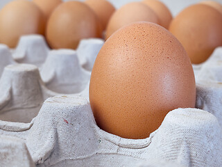 Image showing Eggs in a box