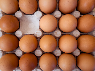 Image showing Eggs in a box