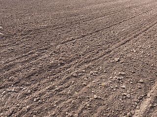 Image showing Plowed field at spring