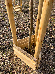 Image showing Planting trees in park