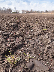 Image showing Plowed field at spring