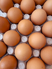 Image showing Eggs in a box