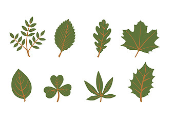 Image showing set of vector leaf shapes