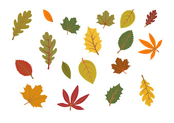 Image showing autumn leaves illustration