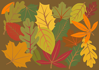 Image showing autumn leaves