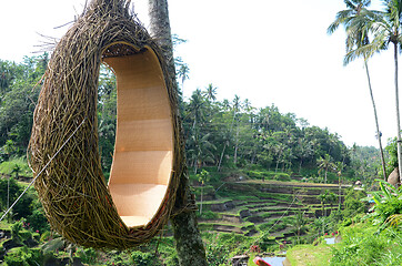 Image showing Tegalalang rice terraces in Ubud, Bali