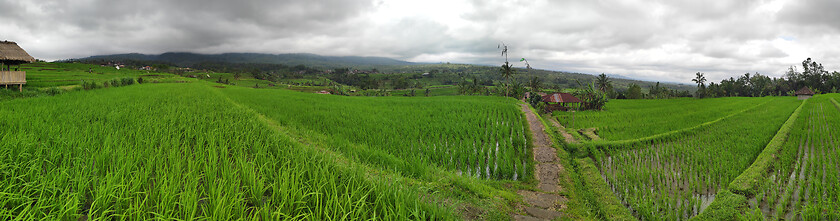Image showing Jatiluwih rice terraces in Tabanan, Bali, Indonesia.