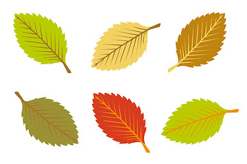 Image showing colorful autumn leaves 