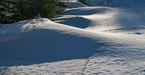 Image showing Wind textured snow and sun lights