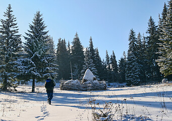 Image showing Man hiking on the mountain in the morning