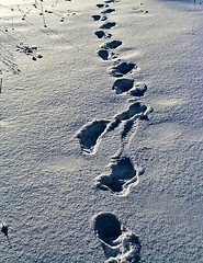 Image showing Fresh snow foot prints in sunlights