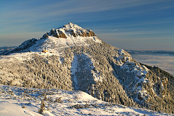 Image showing Winter scene, frozen forest and mountain