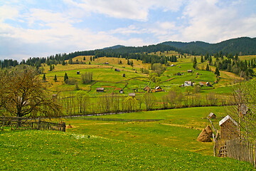 Image showing Summer scene in rural area