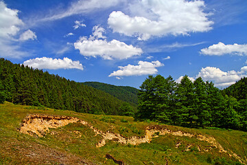 Image showing Landslide and soil erosion on summer mountain