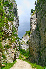 Image showing Vertical wall in the Precipice of Zarnesti