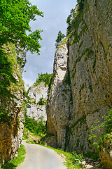 Image showing Rock wall bordering the road