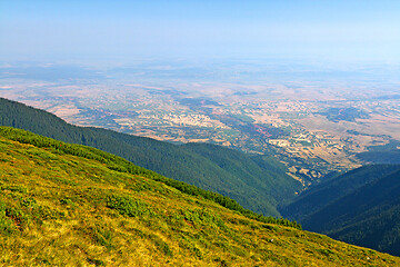 Image showing Alpine meadow, green forest and agriculture fields in background