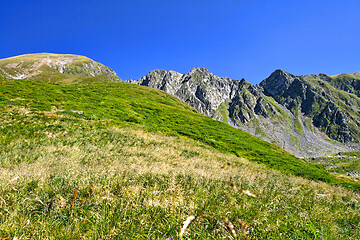 Image showing Alpine meadow in summer mountain