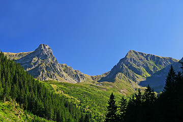 Image showing Green meadow and rocky mountain