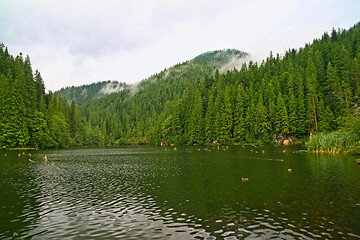 Image showing Rainy morning at beautiful forest lake