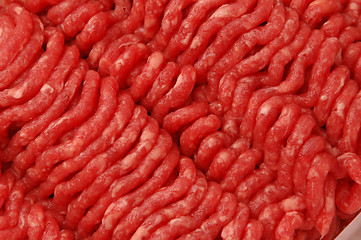 Image showing ground beef 749