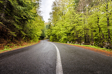 Image showing Curved serpentine mountain forest road