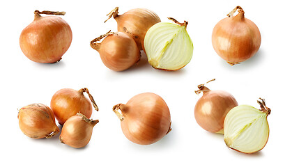 Image showing fresh raw onions