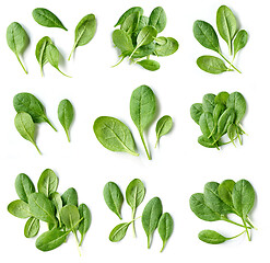 Image showing fresh green spinach leaves