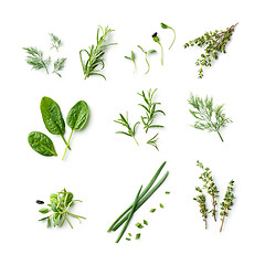 Image showing fresh herb and spices