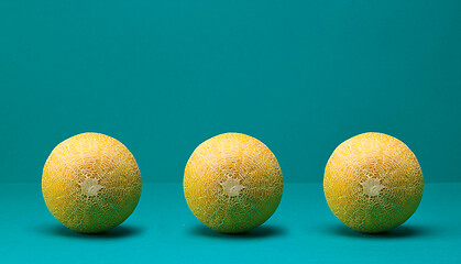 Image showing three fresh ripe melons