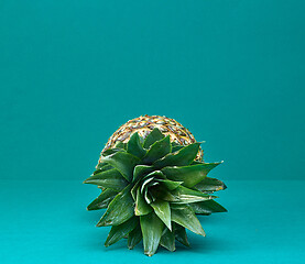 Image showing fresh ripe pineapple leaves