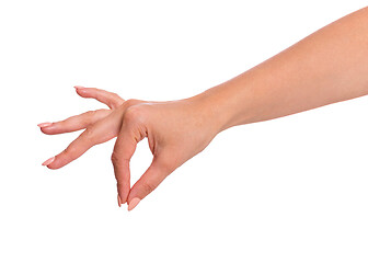 Image showing Female hand on white