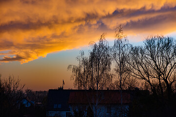 Image showing Houses and trees at sunset