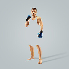 Image showing Professional boxer boxing isolated on grey studio background