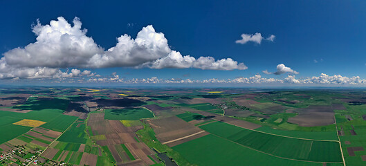 Image showing Aerial view of farmed fields