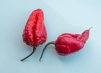 Image showing hot red ghost peppers