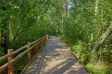 Image showing wooden nature trail 