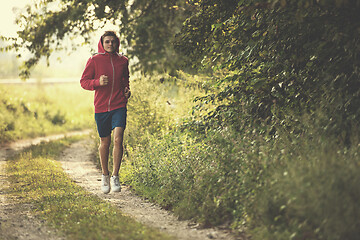 Image showing man jogging along a country road