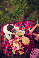 Image showing top view of couple enjoying picnic time