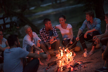 Image showing young friends relaxing around campfire