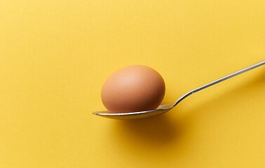 Image showing single chicken egg in a spoon