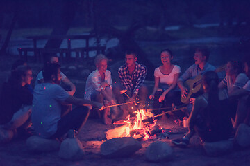 Image showing young friends relaxing around campfire